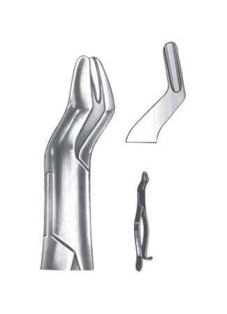 Extracting Forceps - American Pattern 